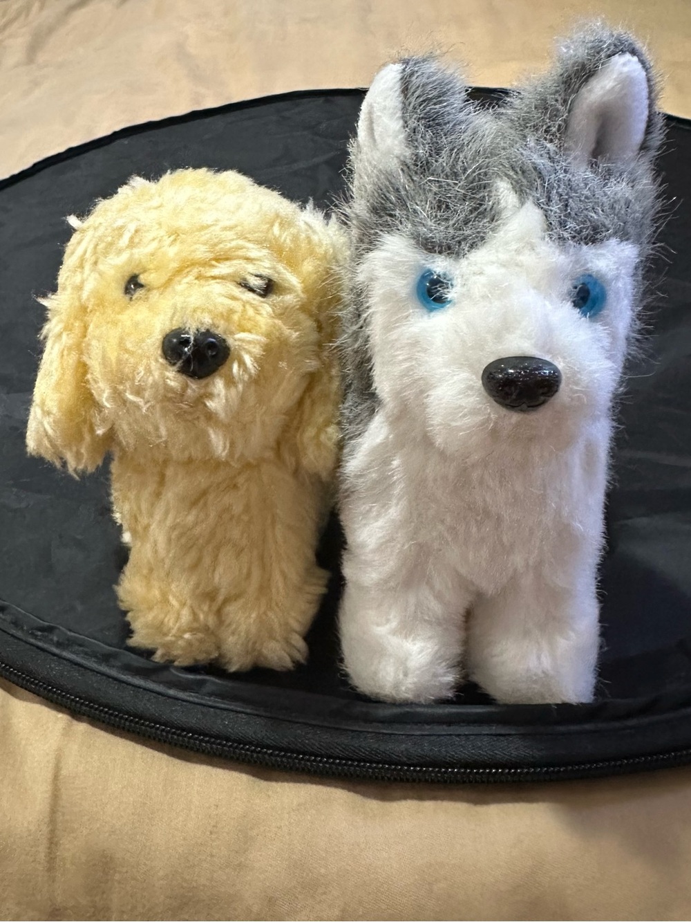 American Girl Doll Set Of 2 Pets Honey
& Pepper